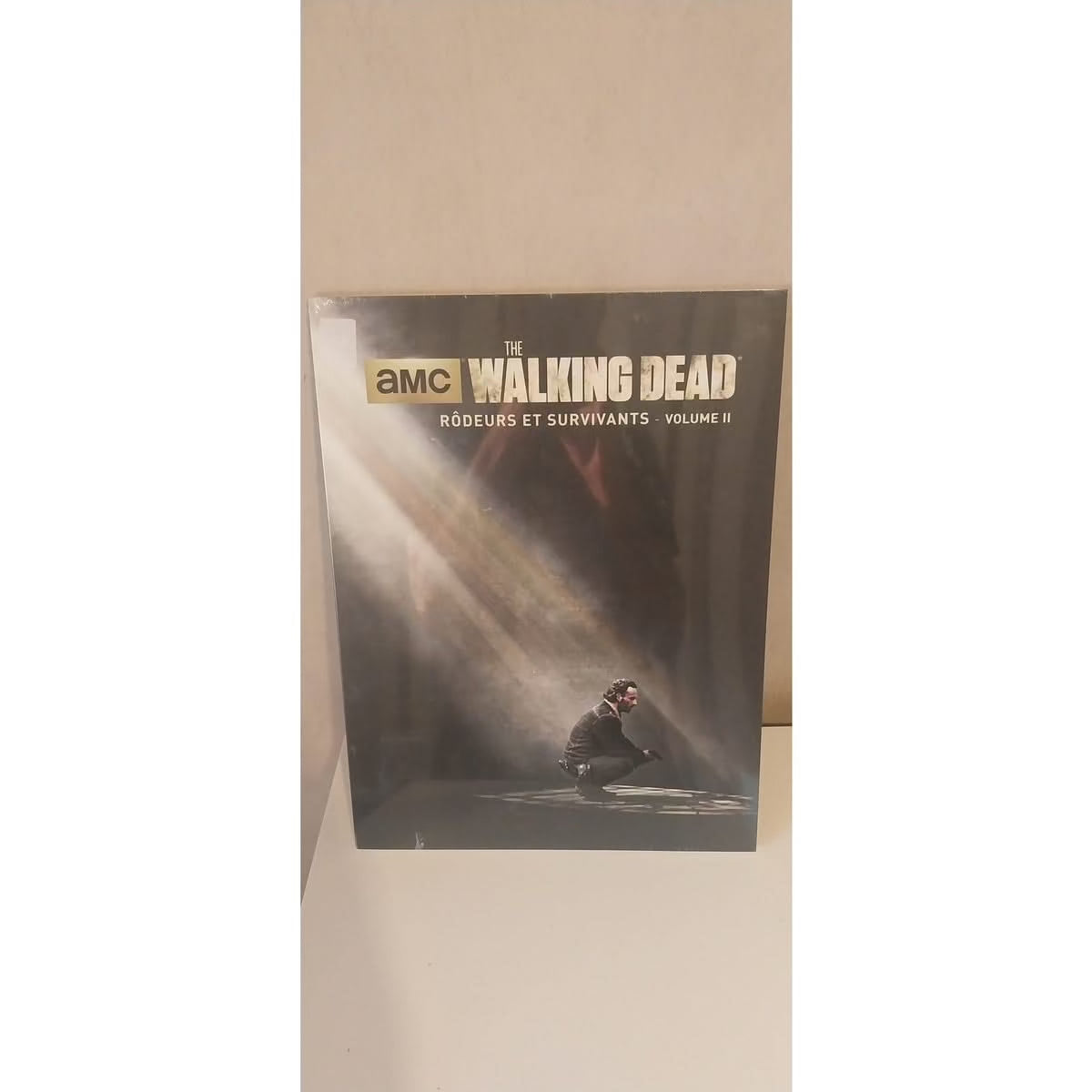 The Walking Dead rôdeurs et survivants volume 2 Livre Posters sous blister. Couverture sombre avec un personnage agenouillé sous un rayon de lumière.