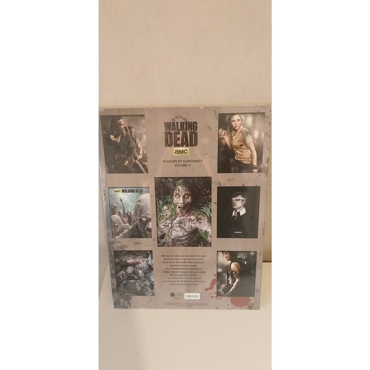 The Walking Dead rôdeurs et survivants volume 2 Livre Posters