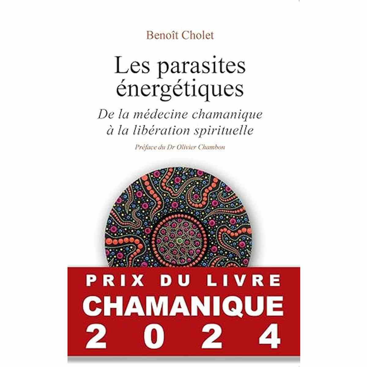 Les parasites énergétiques - De la médecine chamanique à la libération spirituelle livre