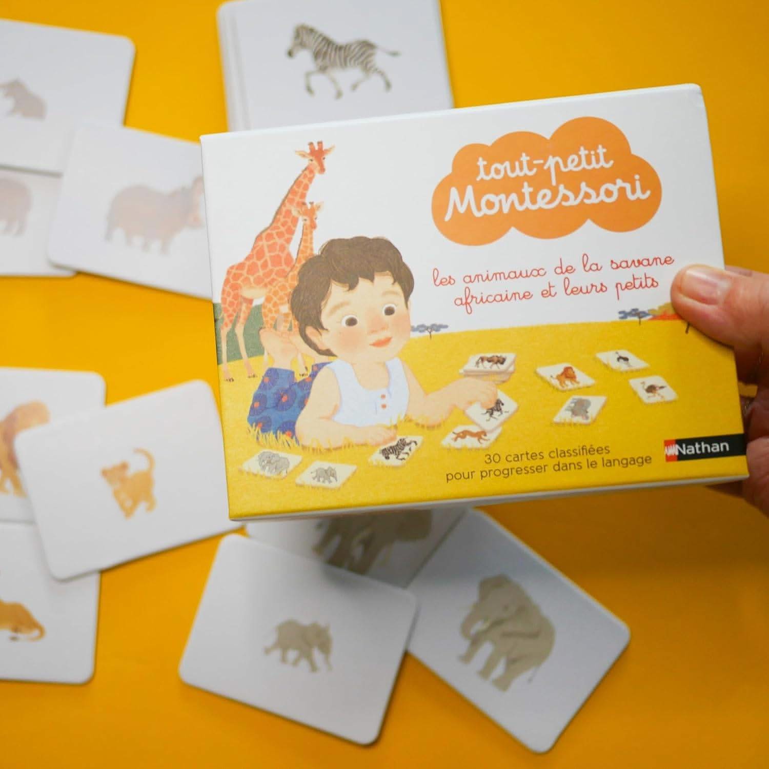 30 cartes montessori pour progresser dans le langage