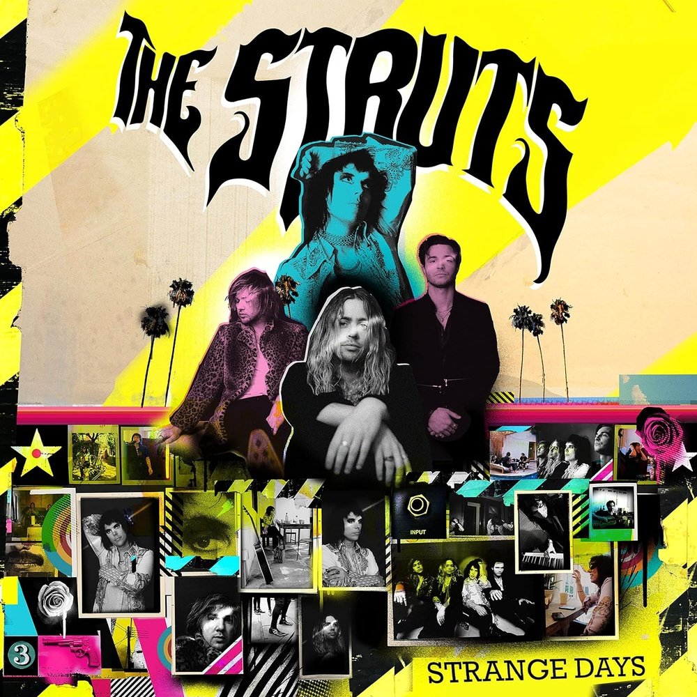 The Struts Strange day Cd