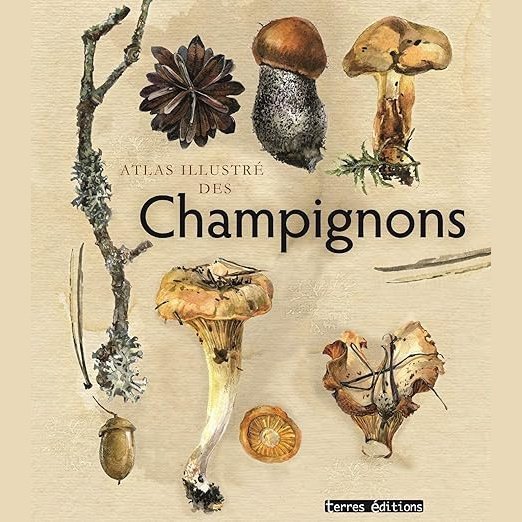 Atlas illustré des champignons. Beau livre relie