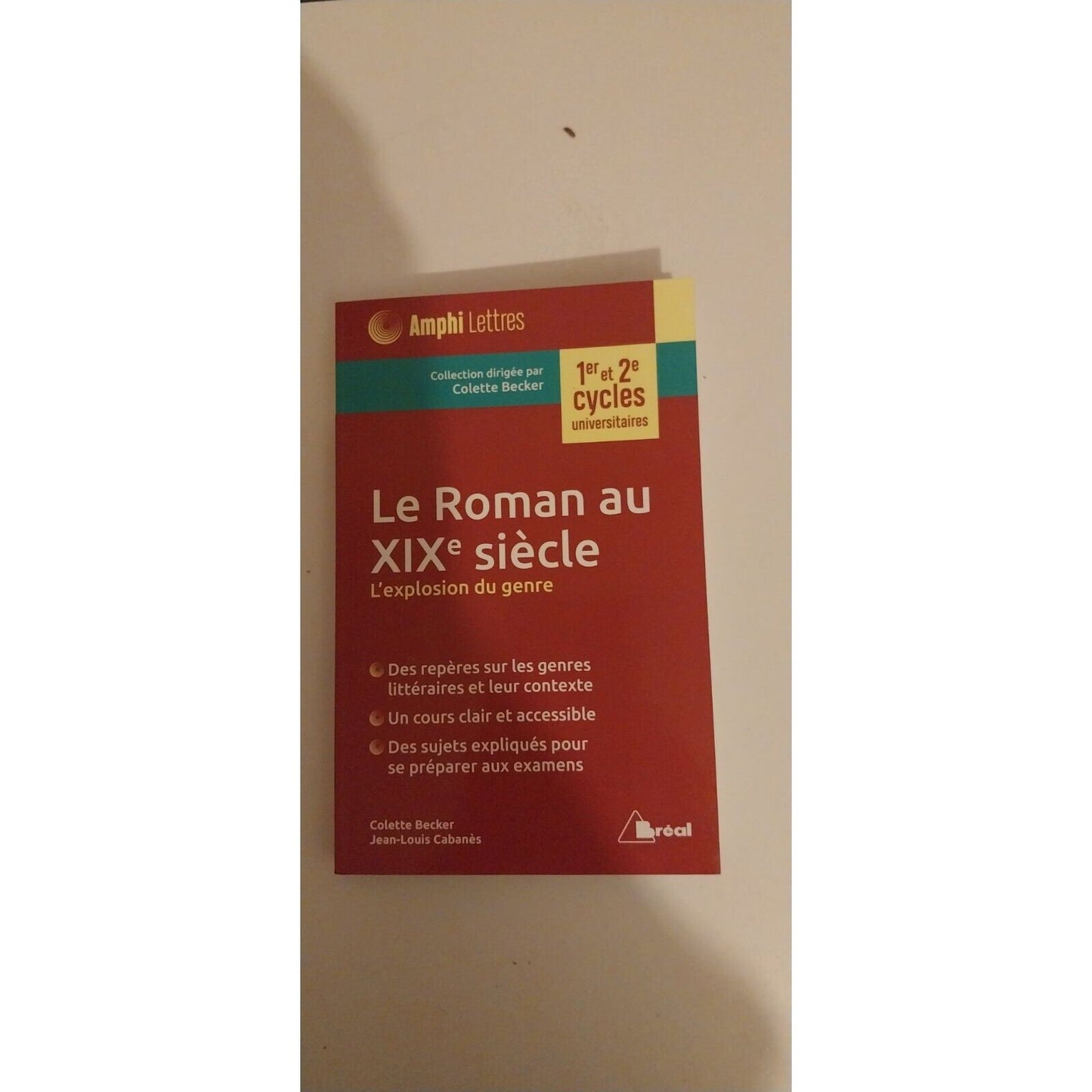 Le Roman Au Xixe Siècle - L'exploration Du Genre