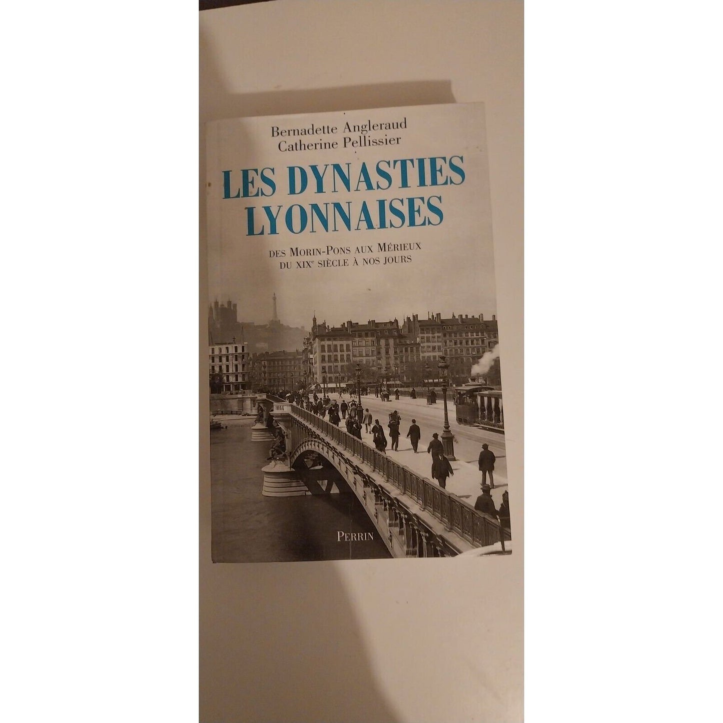 Les Dynasties Lyonnaises - Des Morin-Pons Aux Mérieux, Du Xixe Siècle À Nos jours